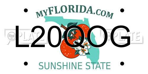 L20QOG Florida License Plate