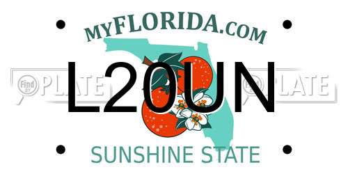 L20UN Florida License Plate