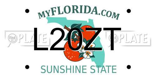 L20ZT Florida License Plate