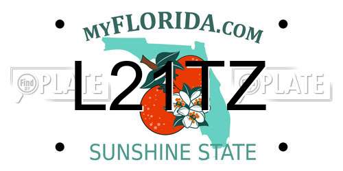 L21TZ Florida License Plate