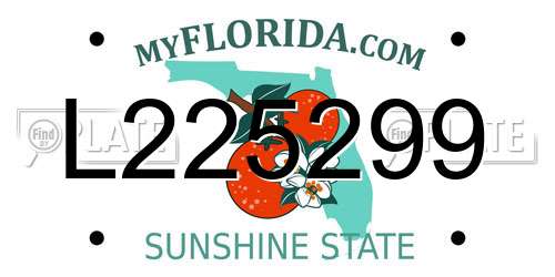 L225299 Florida License Plate