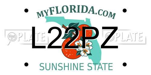 L22PZ Florida License Plate