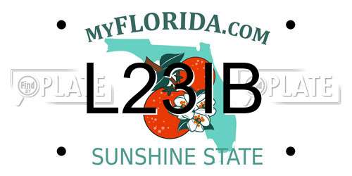 L23IB Florida License Plate