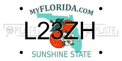 L23ZH Florida License Plate