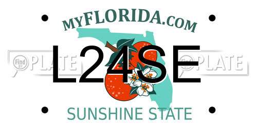 L24SE Florida License Plate