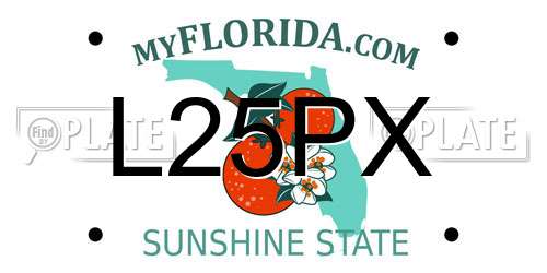 L25PX Florida License Plate