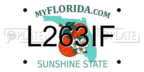 L263IF Florida License Plate
