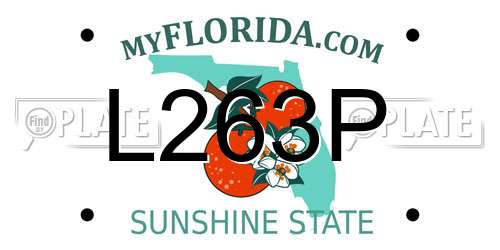 L263P Florida License Plate