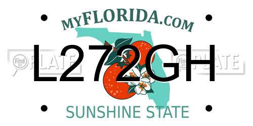 L272GH Florida License Plate