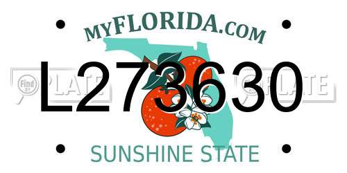 L273630 Florida License Plate