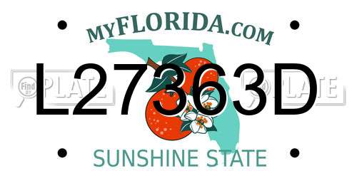 L27363D Florida License Plate