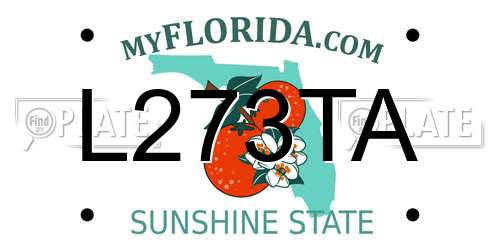 L273TA Florida License Plate