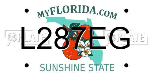 L287EG Florida License Plate