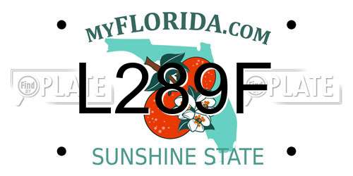 L289F Florida License Plate