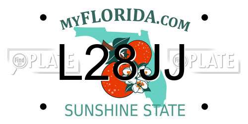 L28JJ Florida License Plate