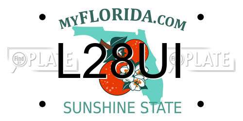 L28UI Florida License Plate