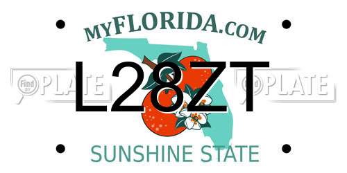 L28ZT Florida License Plate