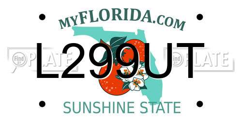 L299UT Florida License Plate