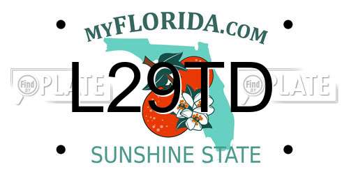 L29TD Florida License Plate