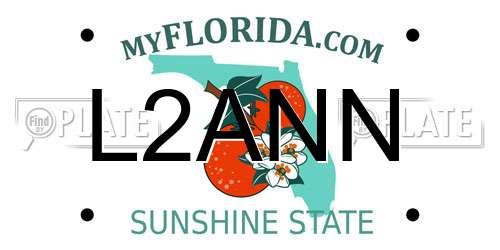 L2ANN Florida License Plate
