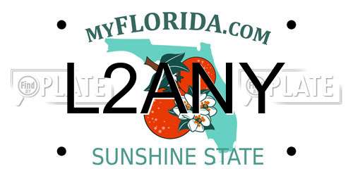 L2ANY Florida License Plate