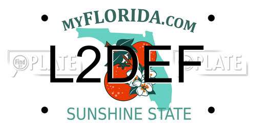 L2DEF Florida License Plate