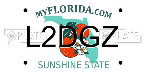 L2DGZ Florida License Plate