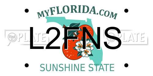 L2FNS Florida License Plate