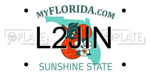 L2JIN Florida License Plate