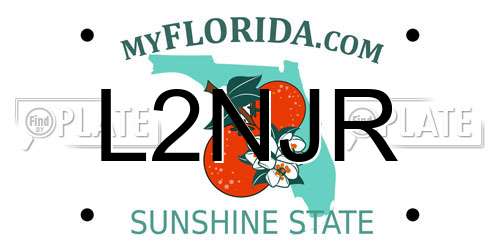 L2NJR Florida License Plate