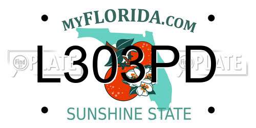 L303PD Florida License Plate