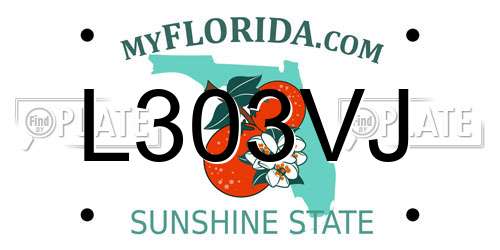 L303VJ Florida License Plate