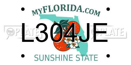 L304JE Florida License Plate