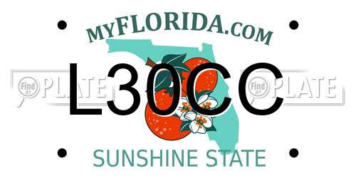 L30CC Florida License Plate