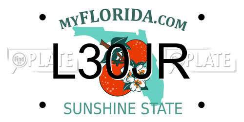L30JR Florida License Plate