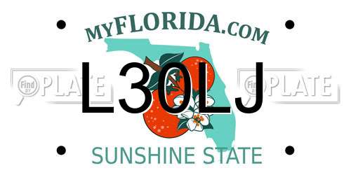 L30LJ Florida License Plate