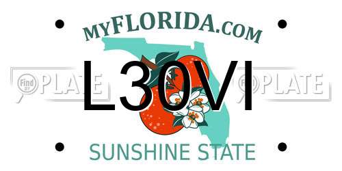 L30VI Florida License Plate