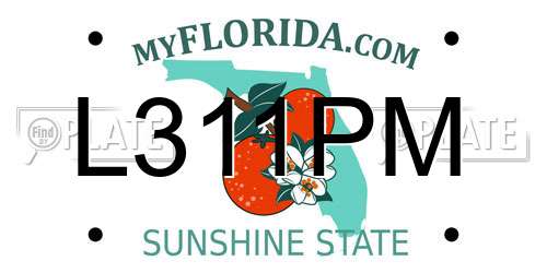 L311PM Florida License Plate