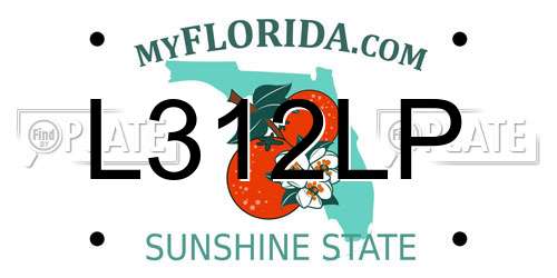 L312LP Florida License Plate