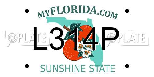 L314P Florida License Plate