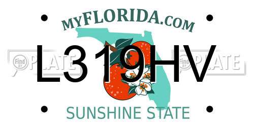 L319HV Florida License Plate
