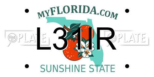 L31IR Florida License Plate