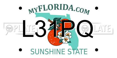 L31PQ Florida License Plate