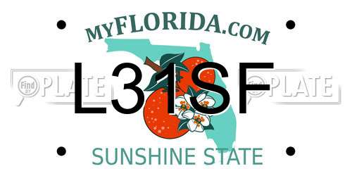 L31SF Florida License Plate