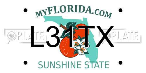 L31TX Florida License Plate