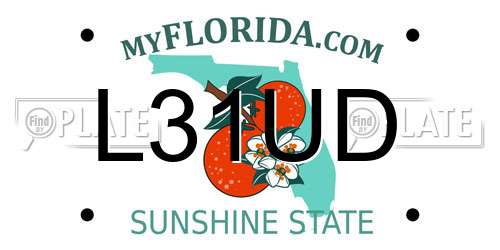 L31UD Florida License Plate