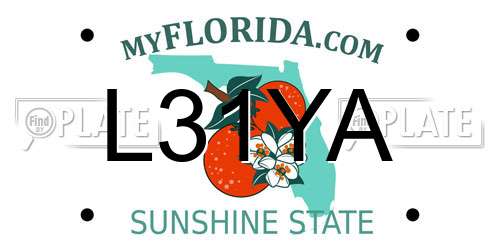 L31YA Florida License Plate
