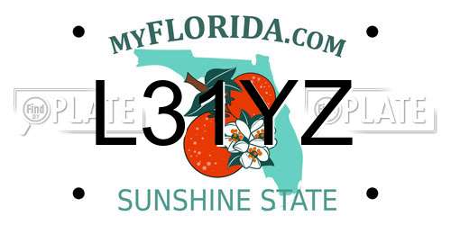 L31YZ Florida License Plate