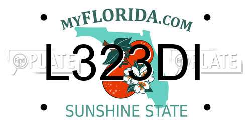 L323DI Florida License Plate