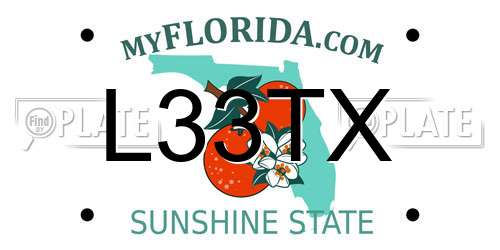 L33TX Florida License Plate